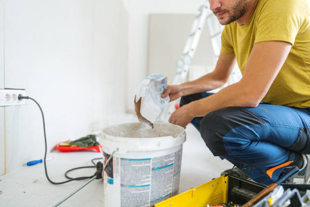 Best Post-Construction Mold Inspection  in Lester Prairie, MN