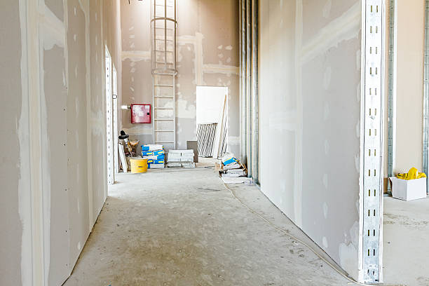 Mold Removal for HVAC Installations in Lester Prairie, MN