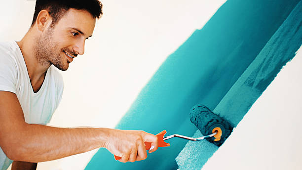 Best Attic Mold Removal  in Lester Prairie, MN