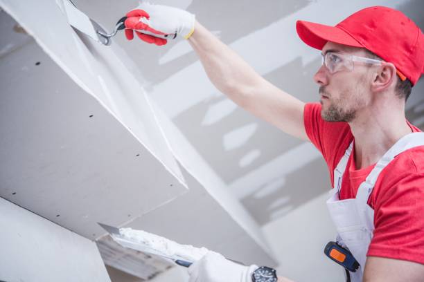 Lester Prairie, MN Mold Removal Company